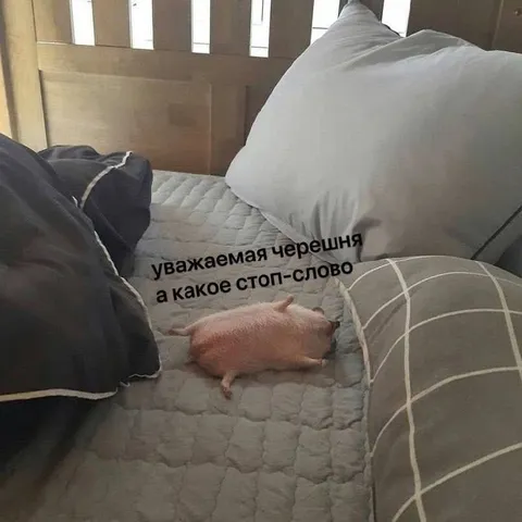 Уважаемая черешня и стоп-слово