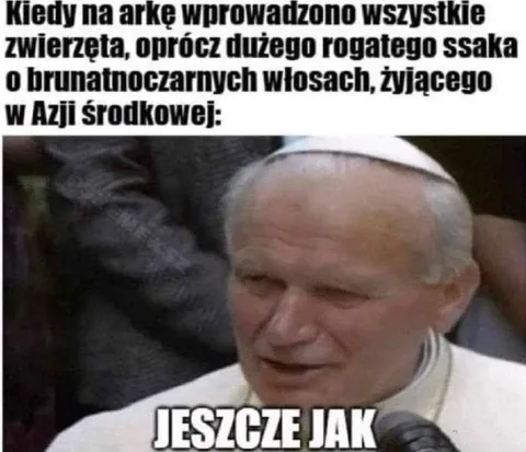 Jeszcze jak na arce