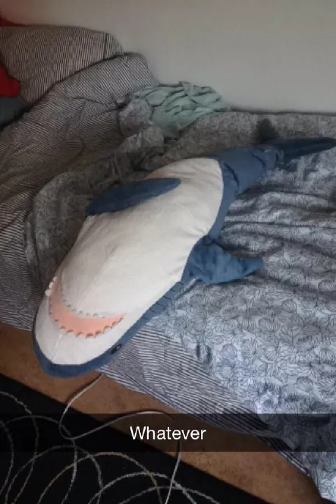 Whatever Shark Under Blanket