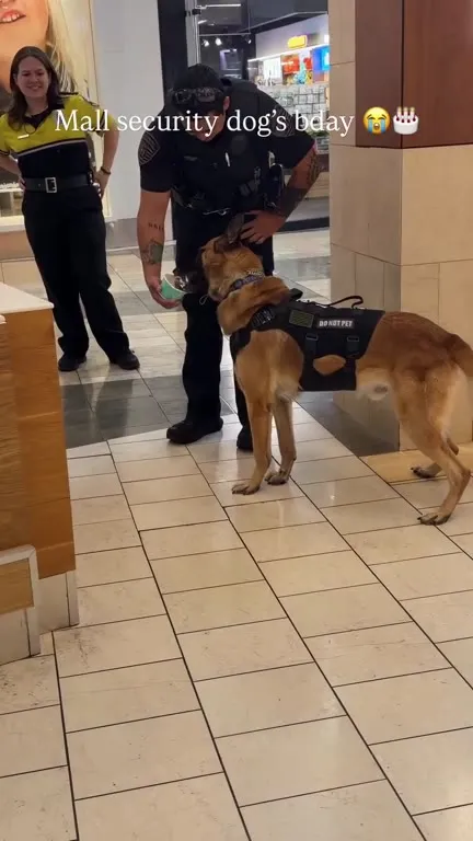 Mall Security Dog Birthday