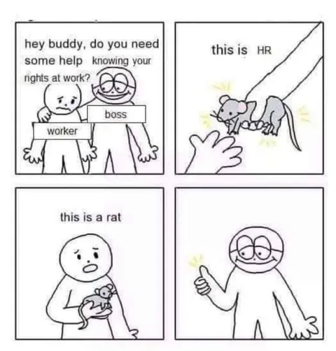 This Is HR, This Is a Rat