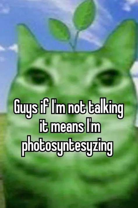 Photosyntesuzing Instead of Talking