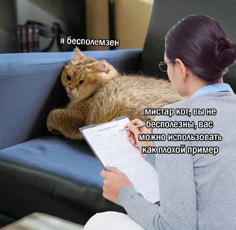 Кот бесполезен, но полезен как пример
