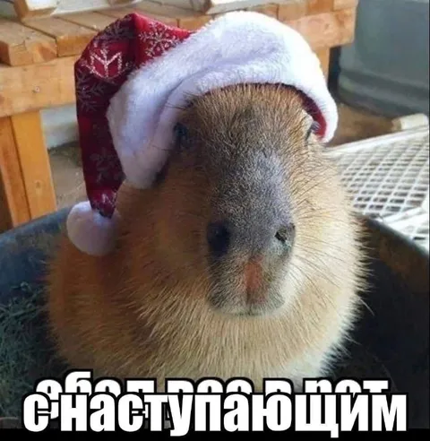 Капибара с наступающим