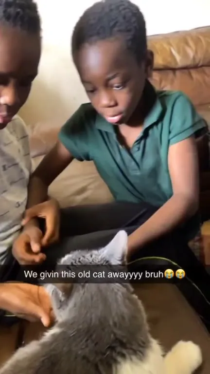 Giving Away the Old Cat