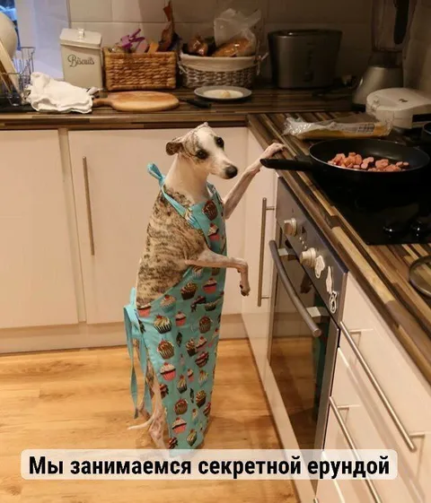 Секретная ерунда на кухне
