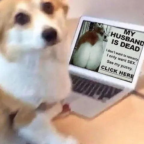 Cat Clickbait Husband Is Dead