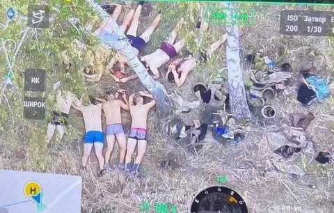 Люди отдыхают под деревьями