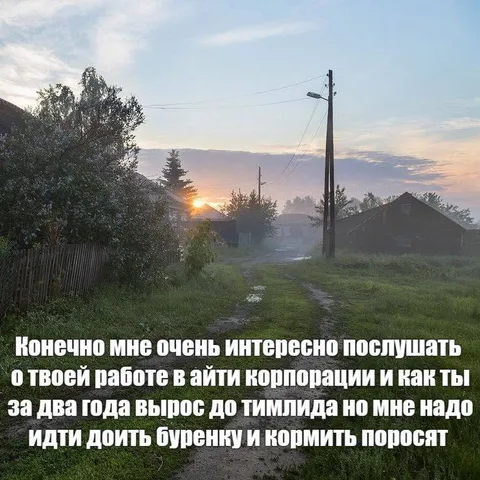 Доить бурёнку вместо тимлида