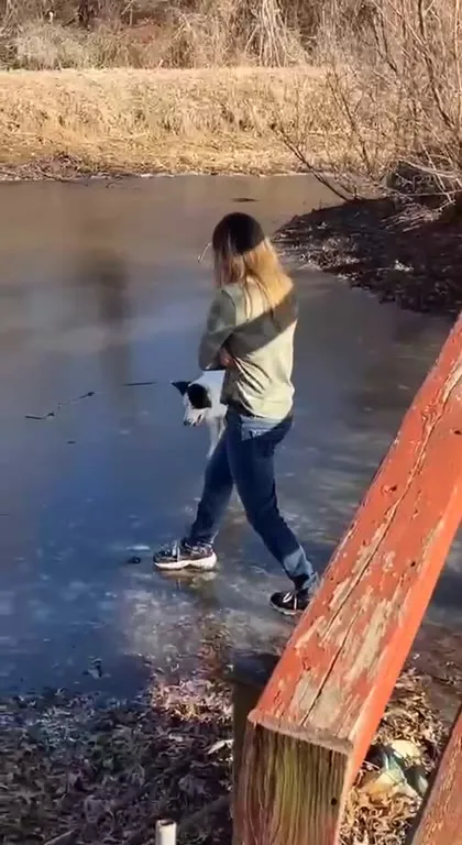 Собака танцует на льду