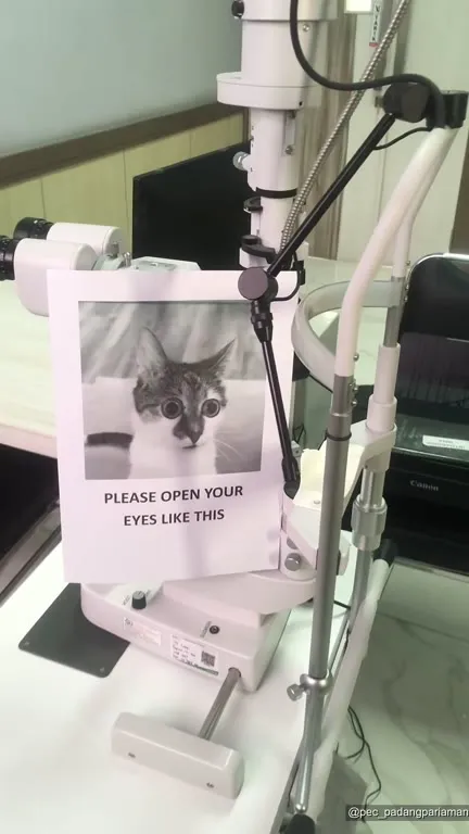 Please Open Your Eyes Like This