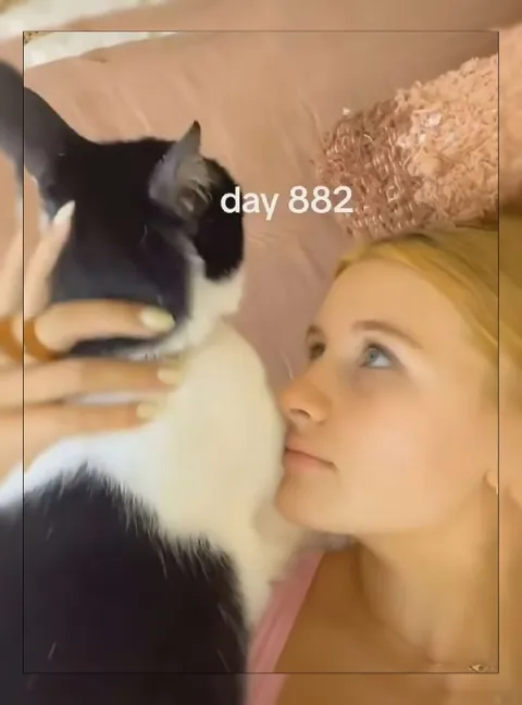 Day 882 Without a Break