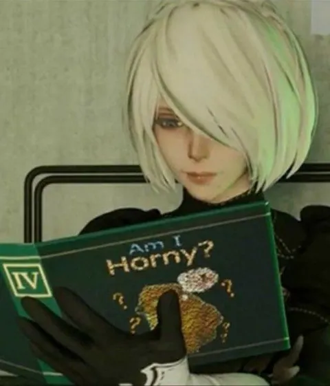 Am I Horny? Book Meme