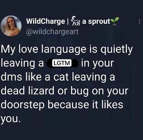 Cat Leaves Gifts for Love