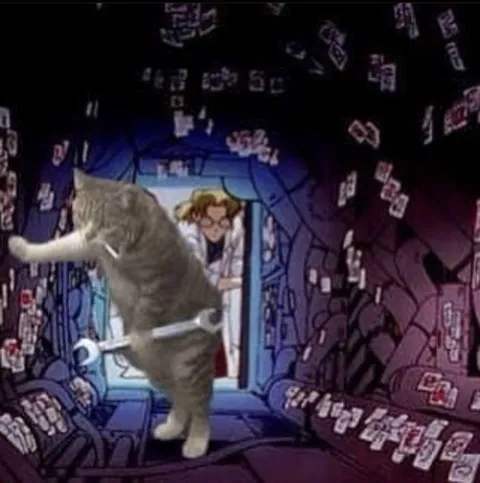 Танцующий кот в космическом корабле