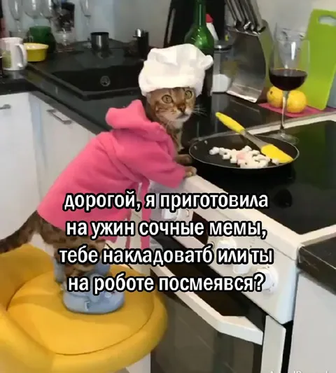 Кошка готовит сочные мемы