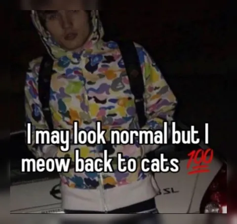 Meowing Back at Cats