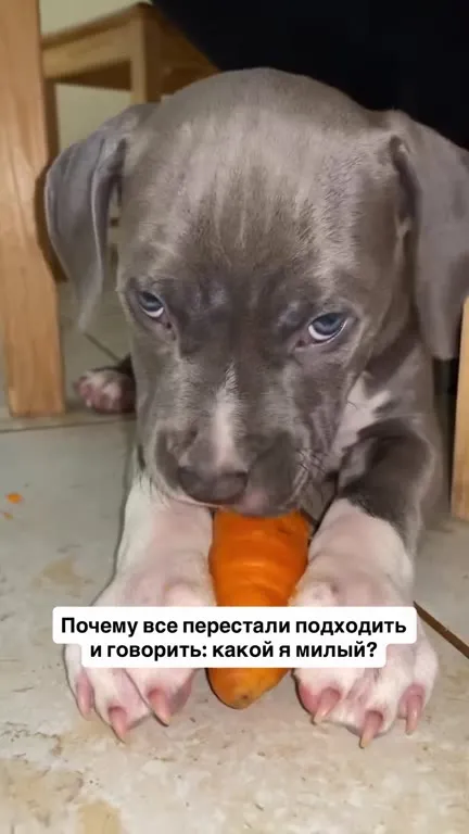 Почему перестали подходить к милому