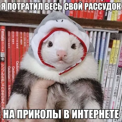 Потратил рассудок на приколы