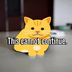 This Cannot Continue Cat