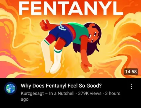 Why Does Fentanyl Feel So Good?