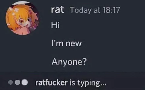 New User Gets Rejected