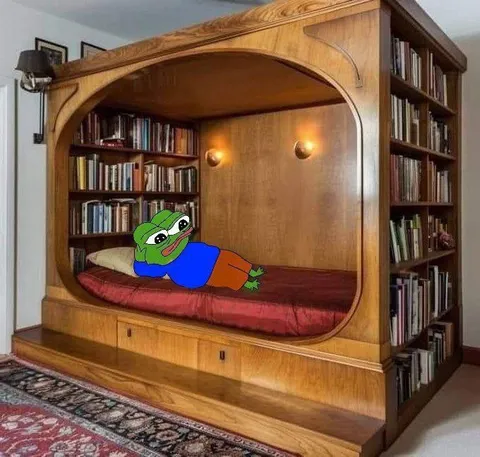 Пепе отдыхает в книжном шкафу