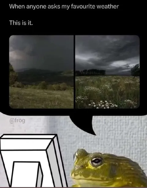 Favourite Stormy Weather