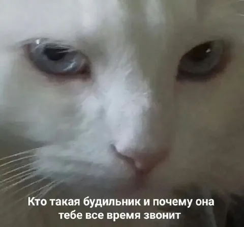 Кто такая будильник