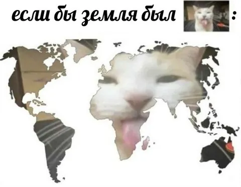 Если бы Земля была котом