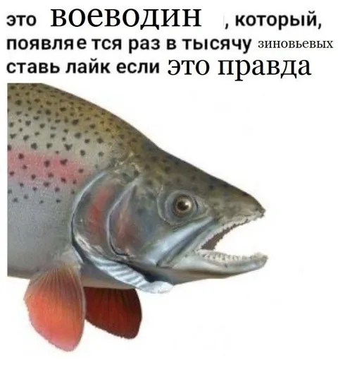 Воеводин раз в тысячу зиновьевых