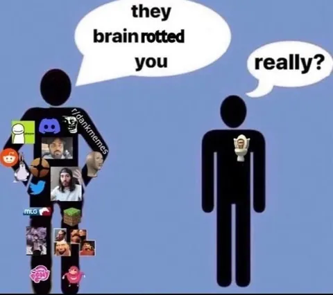 They Brain Rotted You