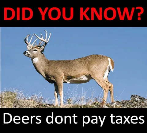 Deers Don’t Pay Taxes