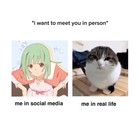 I Want to Meet You in Person