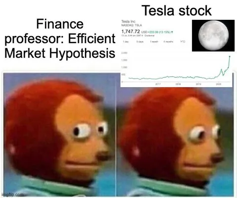 Finance Professor Watches Tesla Stock