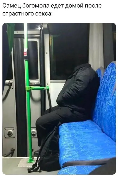 Самец богомола после секса