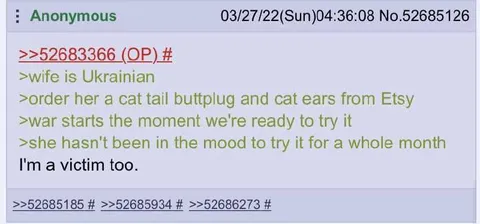 War Ruins the Cat Costume