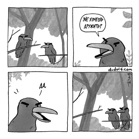 Вороны хотят дружить