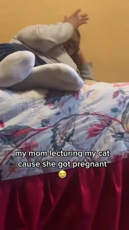 Mom Lectures Pregnant Cat