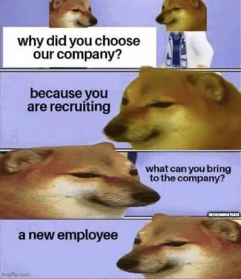 Doge Job Interview