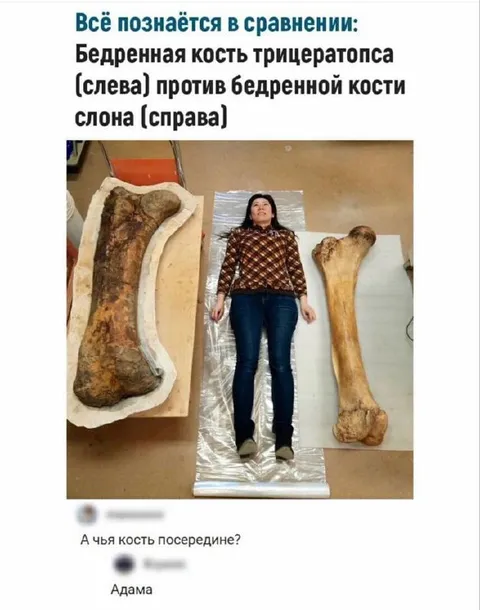 Чья кость посередине?