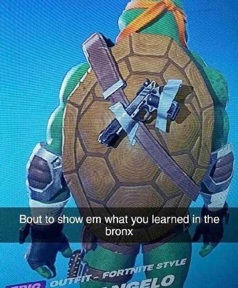 Bronx Turtle Fortnite Outfit