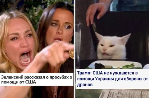 Женщина кричит на кота о помощи