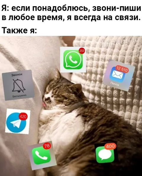 Я всегда на связи