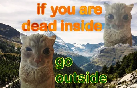 Dead Inside Go Outside