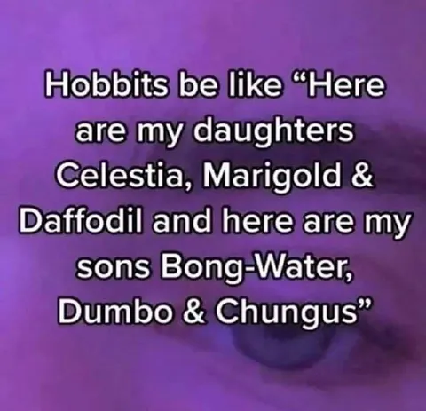 Hobbit Family Name Introduction