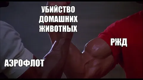 Аэрофлот и РЖД убивают животных
