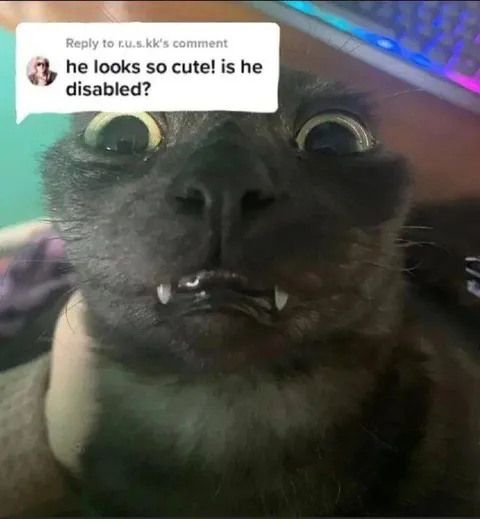 Is He Disabled?