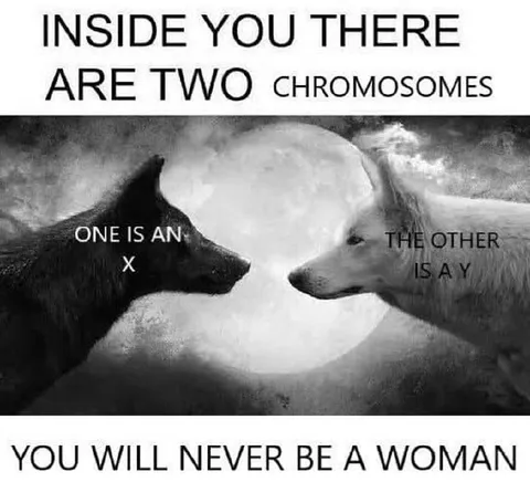 Two Chromosomes Inside You