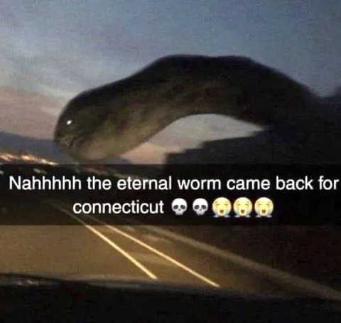 The Eternal Worm Came Back